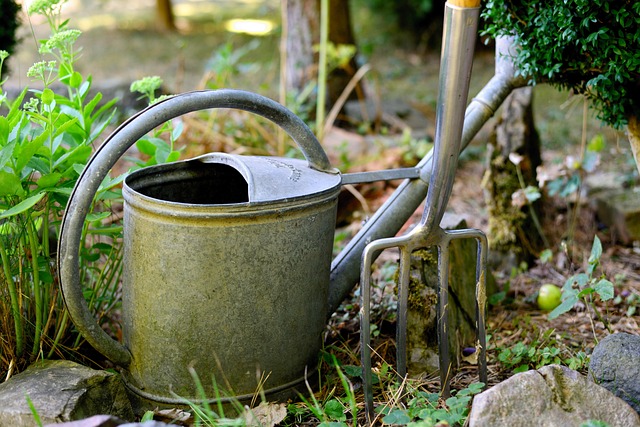 Tags: watering can, digging fork, gardening, garden, environment, nature, plants, work, grtenpflege, watering can, watering can, watering can, watering can, watering can