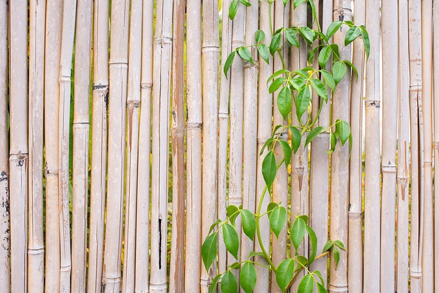 Tags: fence, full hd wallpaper, desktop backgrounds, wallpaper hd, free background, laptop wallpaper, 4k wallpaper 1920x1080, plant, cane, garden, beautiful wallpaper, nature, hd wallpaper, wallpaper 4k, mac wallpaper, green, floral background, 4k wallpaper, cool backgrounds, beige, free wallpaper, windows wallpaper, background