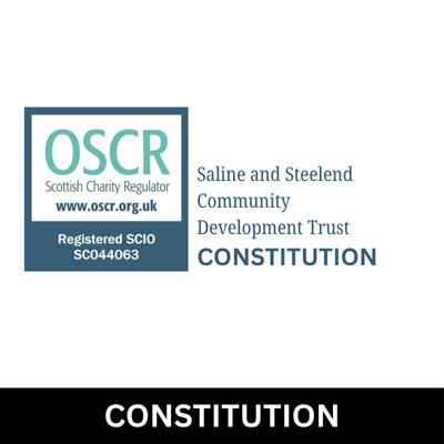 Constitution Logo