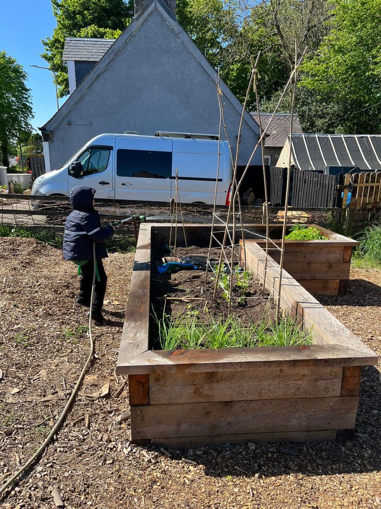 A young volunteer watreing the plants